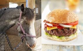 horsemeat scandal.jpg