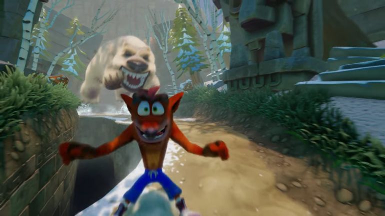 bear Crash BANDICOT.jpg