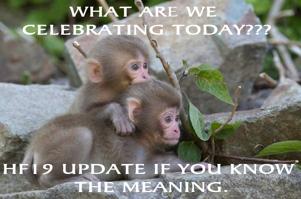 newbies 2.png
