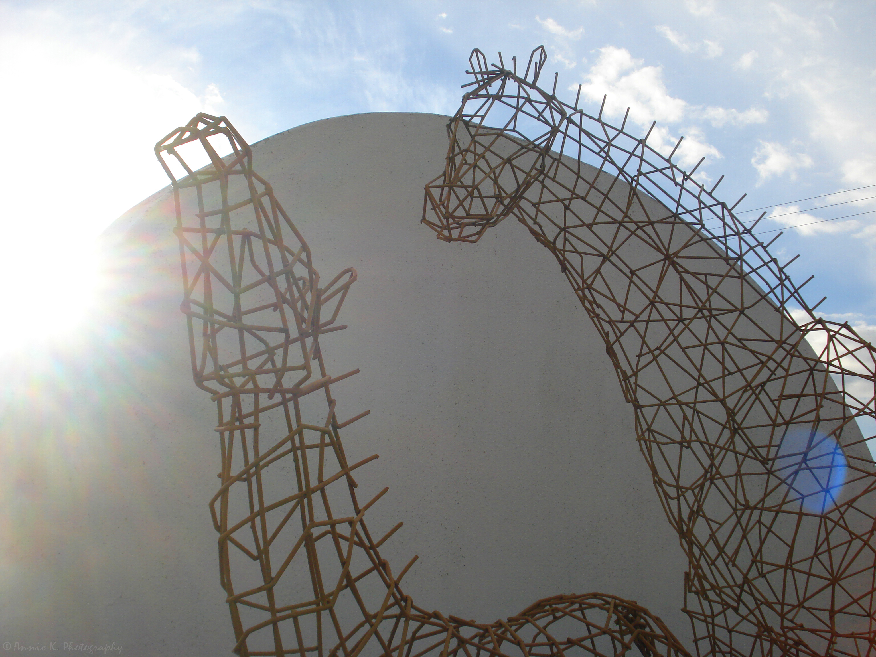 Wireframe-horses-9.jpg