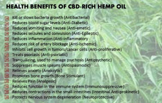 Image result for cbd oil benefits