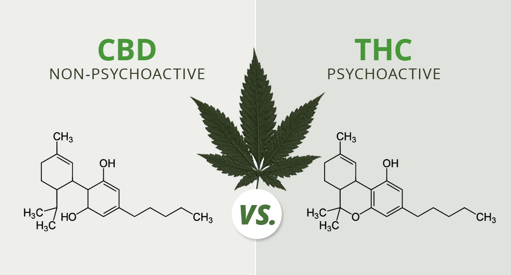 thc-cbd-most-well-known-cannabinoids.jpg