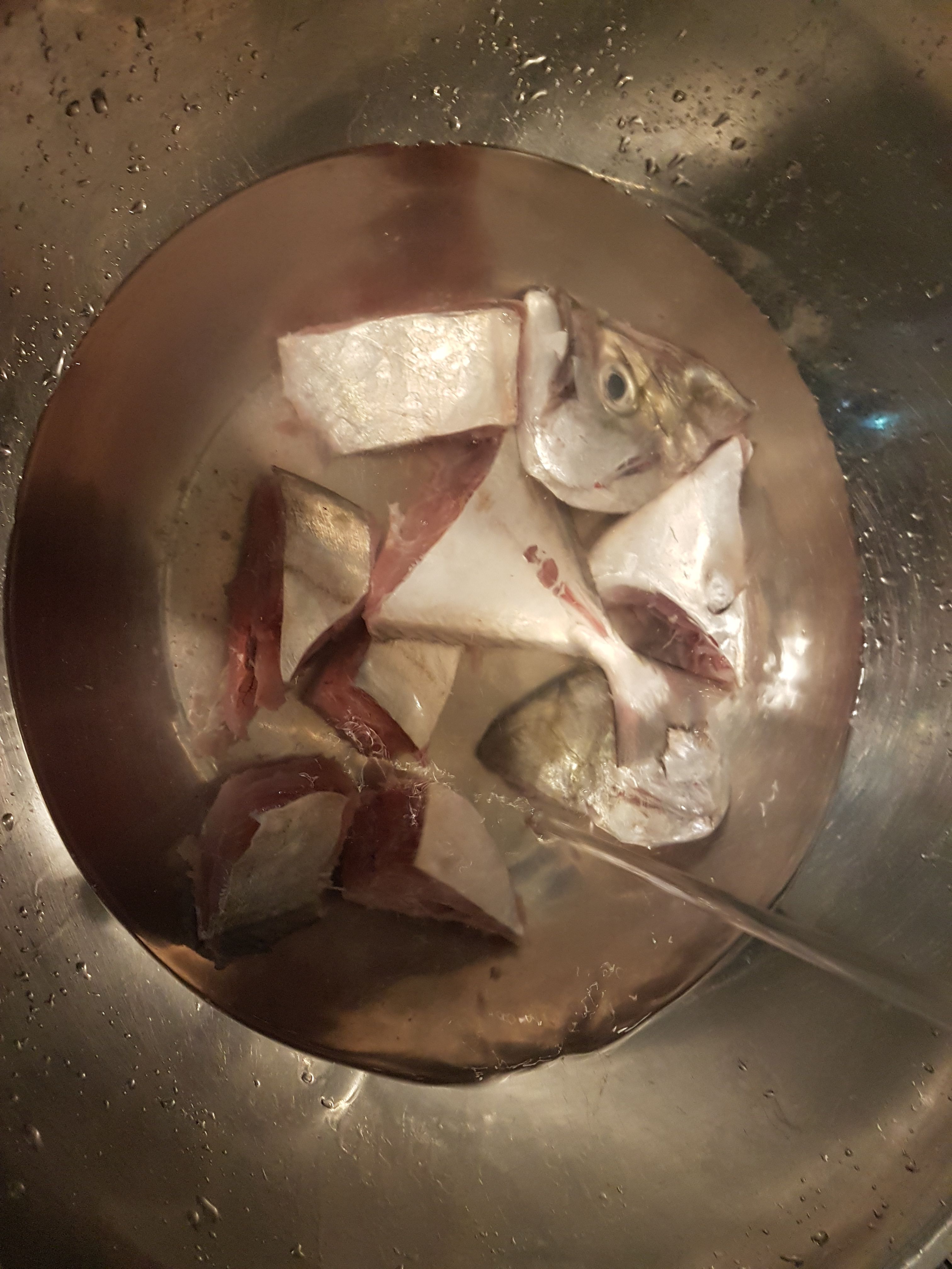 20180116_114507.jpg