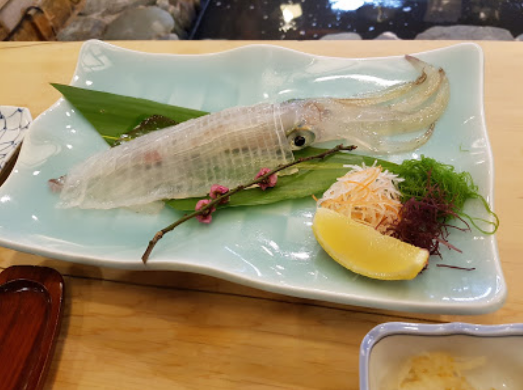 Squid.png