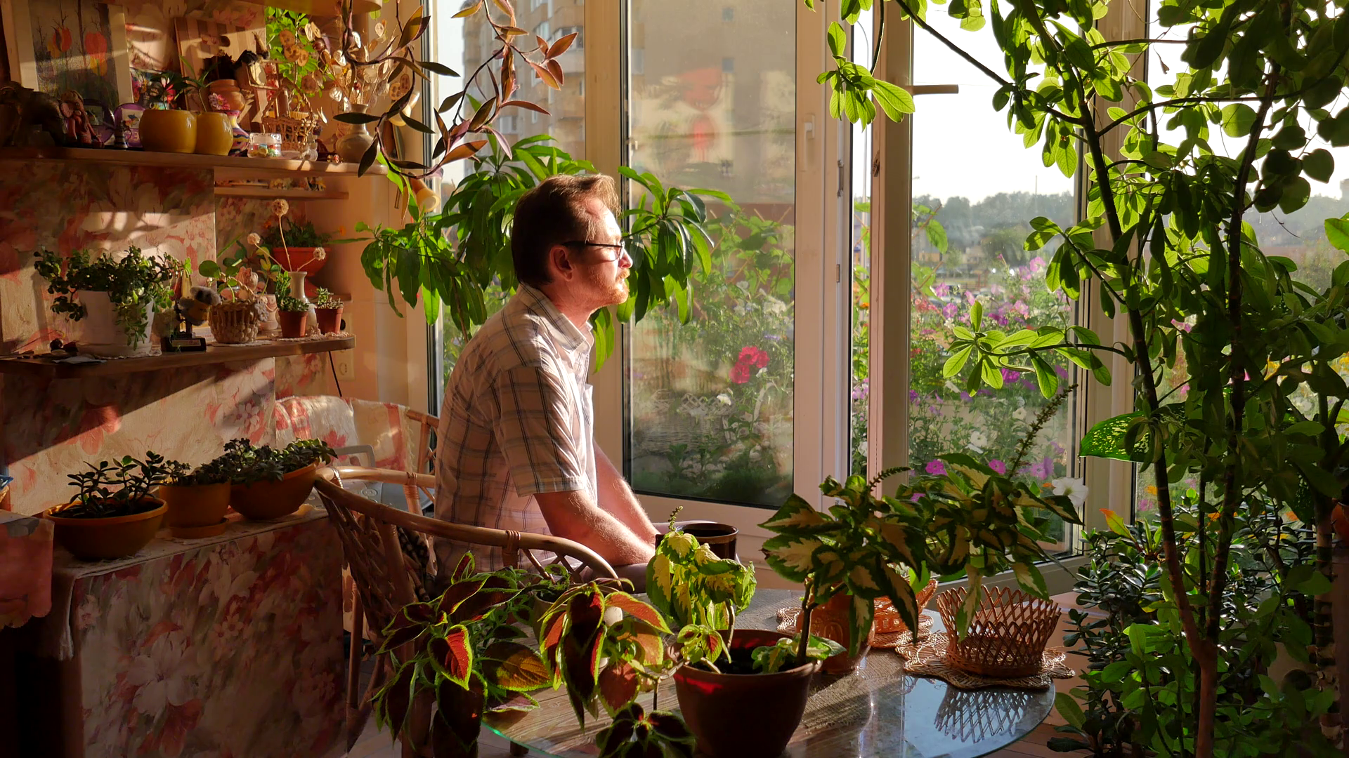 videoblocks-man-gets-up-toward-sun-rays-near-open-window-balcony-flowers-on-the-terrace-sun-rays-lit-mans-face-recreation-at-home-evening-rest-happy-morning-at-home_s3uymevng_thumbnail-full01.png