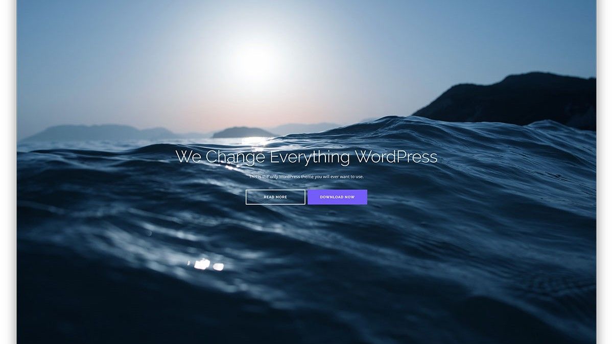 shapely-freee-fullscreen-multipurpose-wordpress-theme.jpg