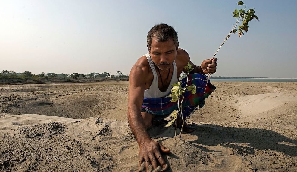 Forest-Man-of-India.jpg