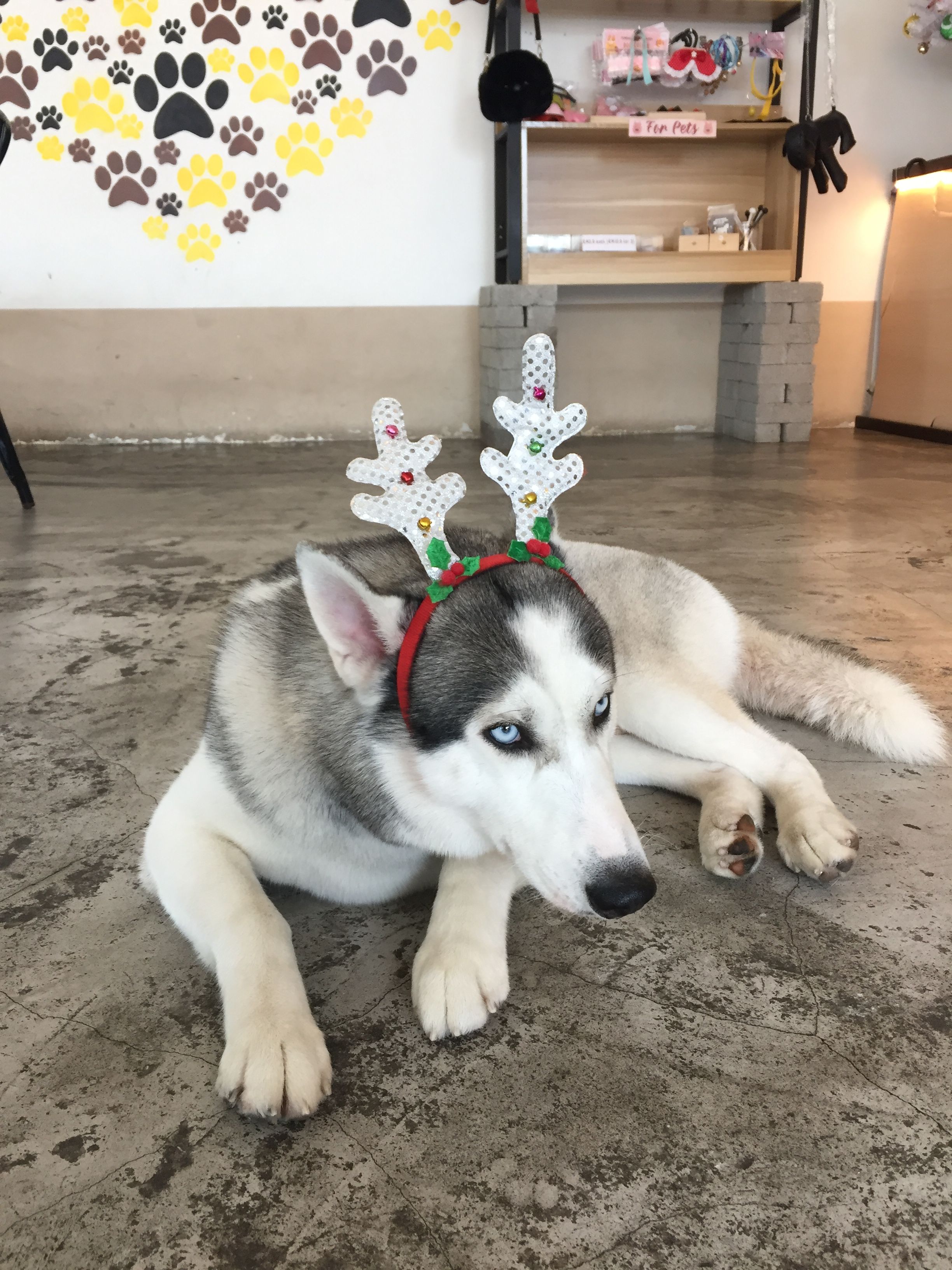 0702574C-268B-4A77-AF67-225997F2E624.jpeg