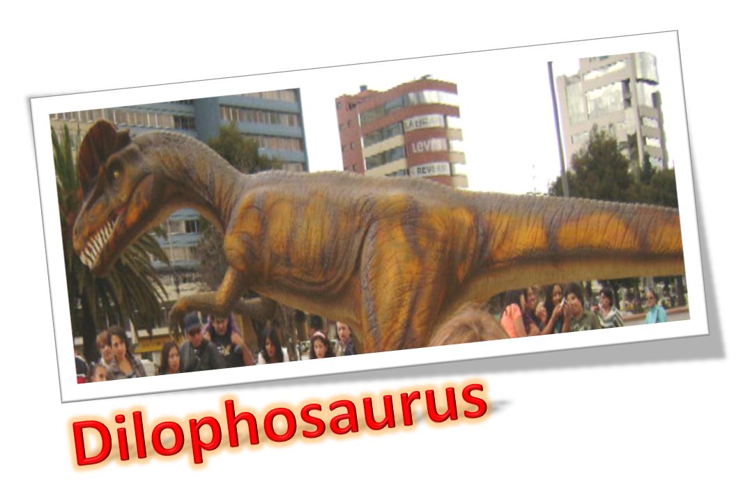 Dilophosaurus 1.JPG