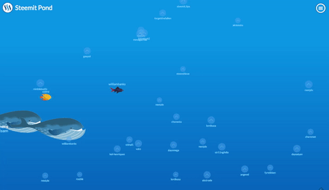 steemit-pond.gif