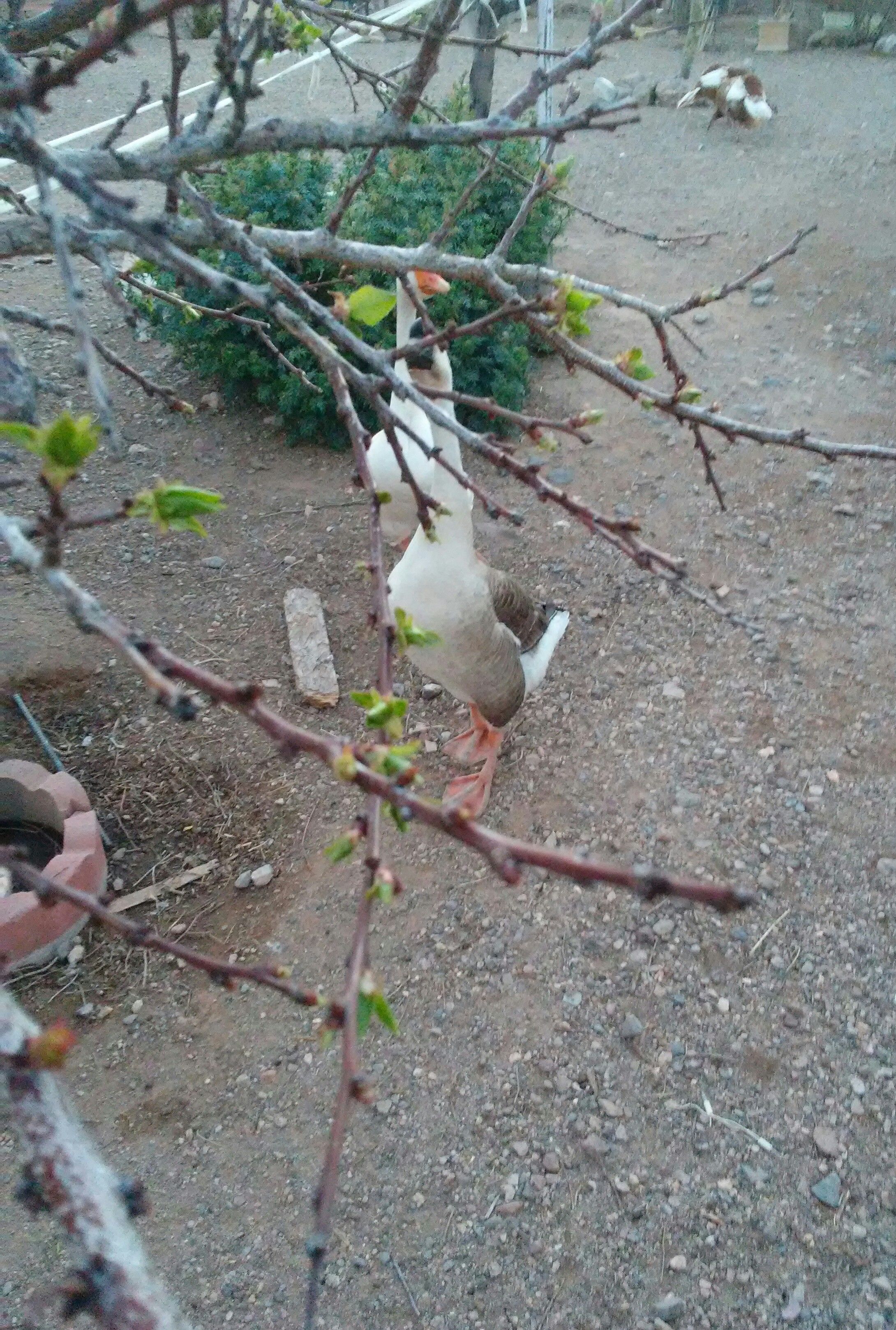 20180330_062334.jpg