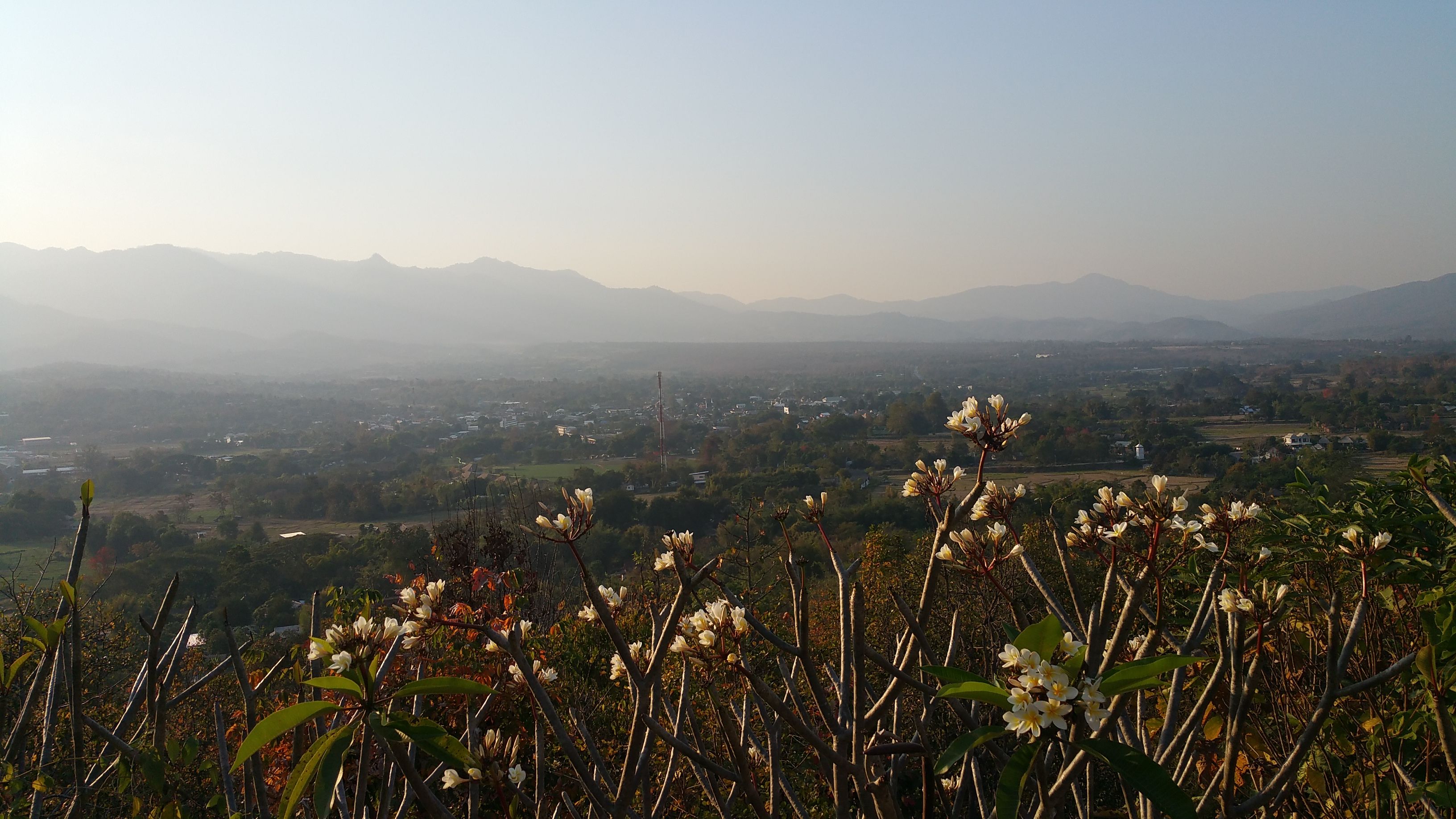20170209_171957.jpg