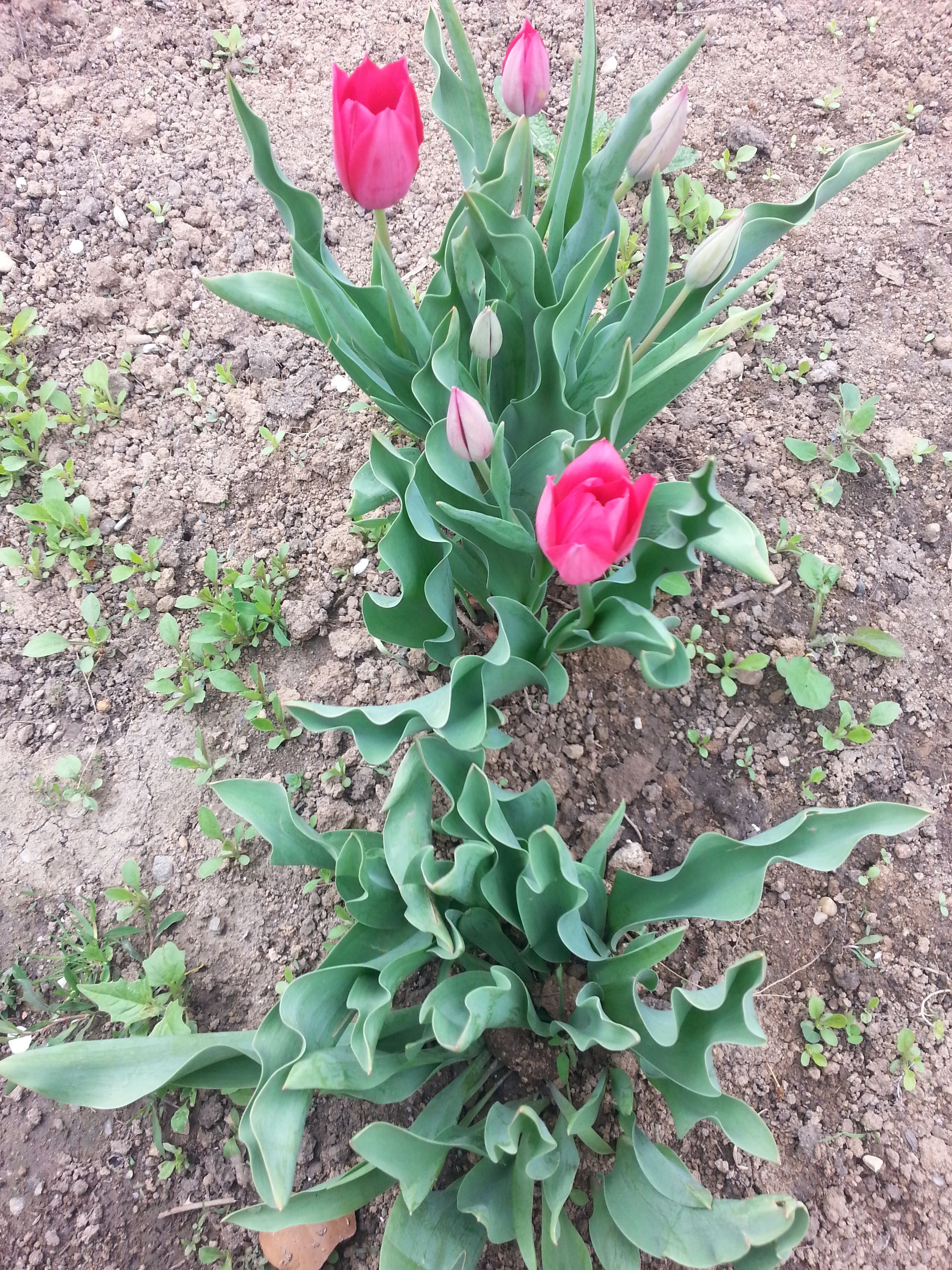 20170501_140216.jpg