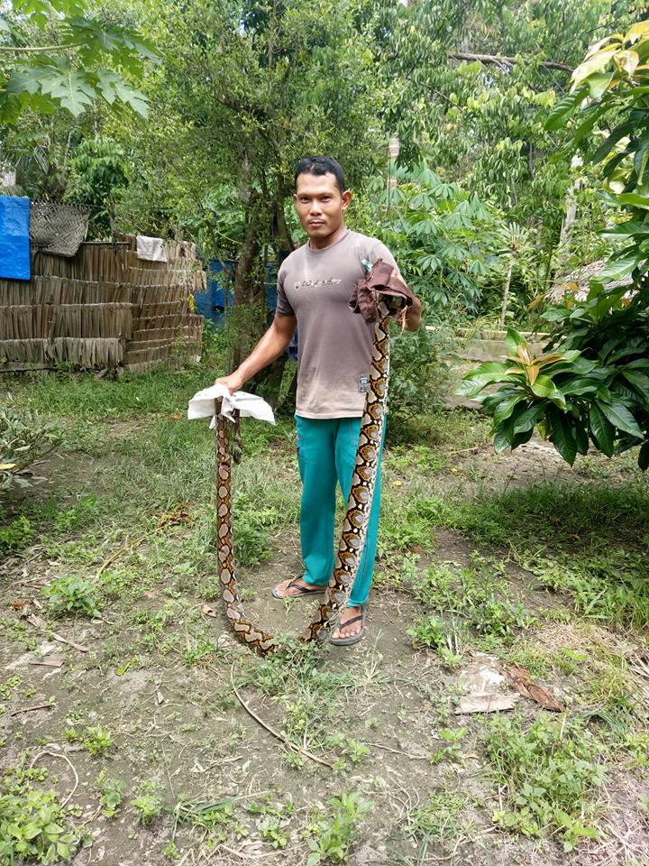 ular2.jpg