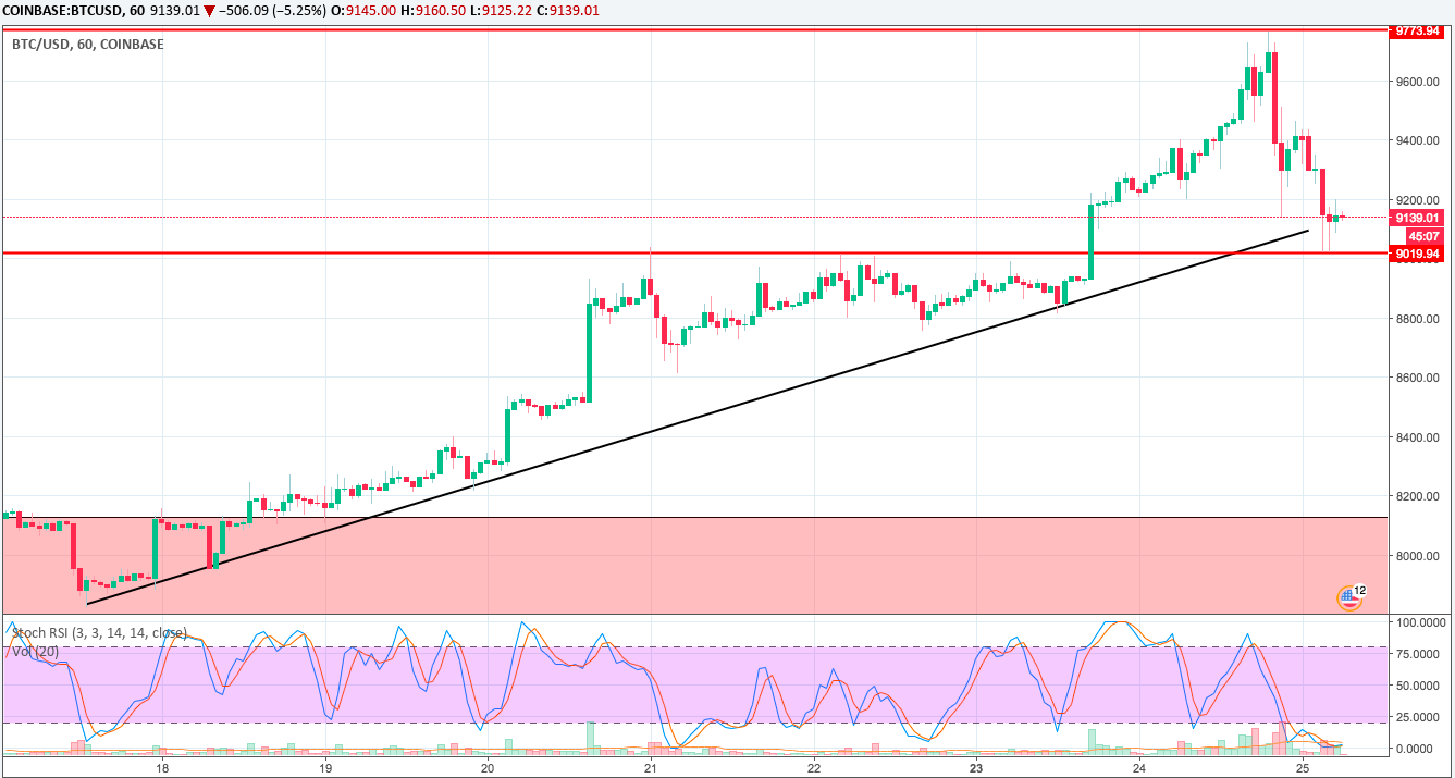 BTC H.png
