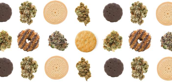 Cookies-Weed-Banner-1.png
