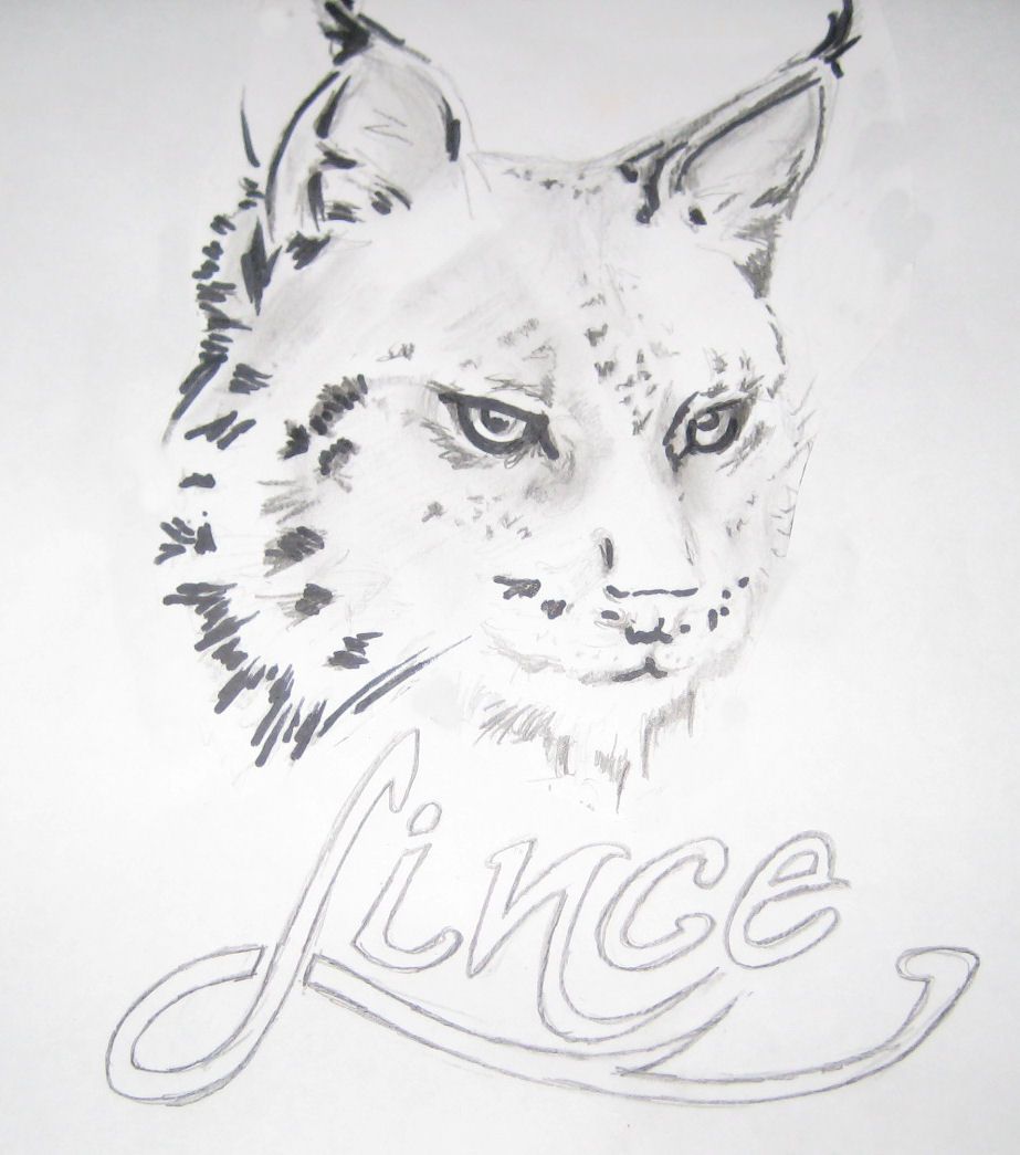 lince.jpg