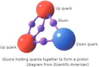 reality_gluon.jpeg