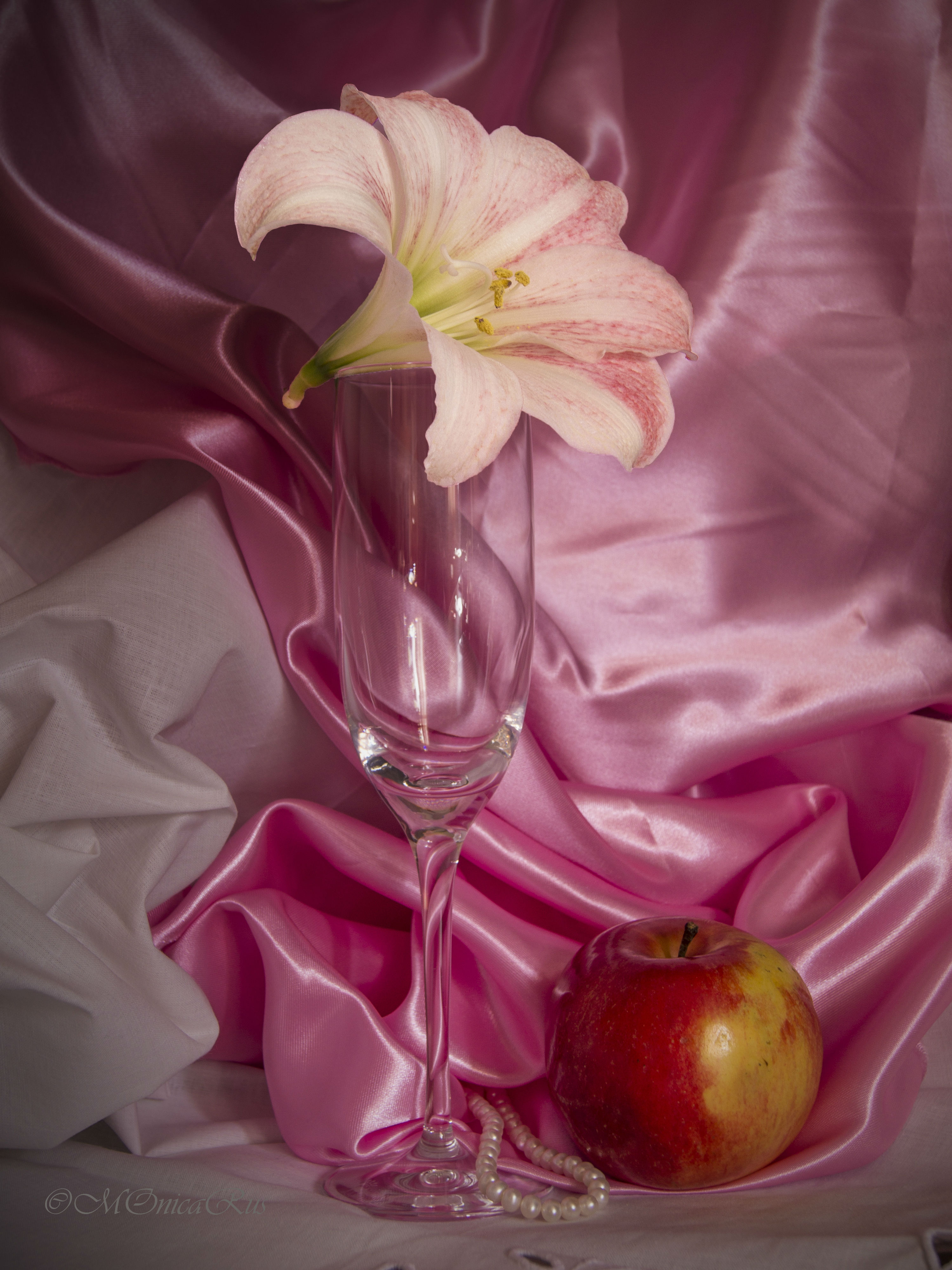 still life 1 copy.jpg