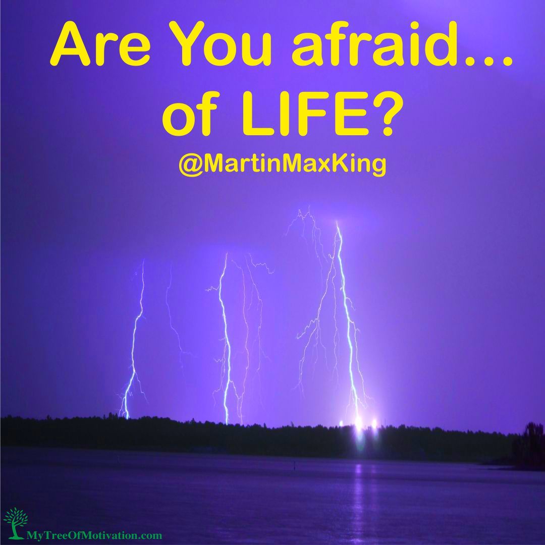 are you of afraid of life.jpg