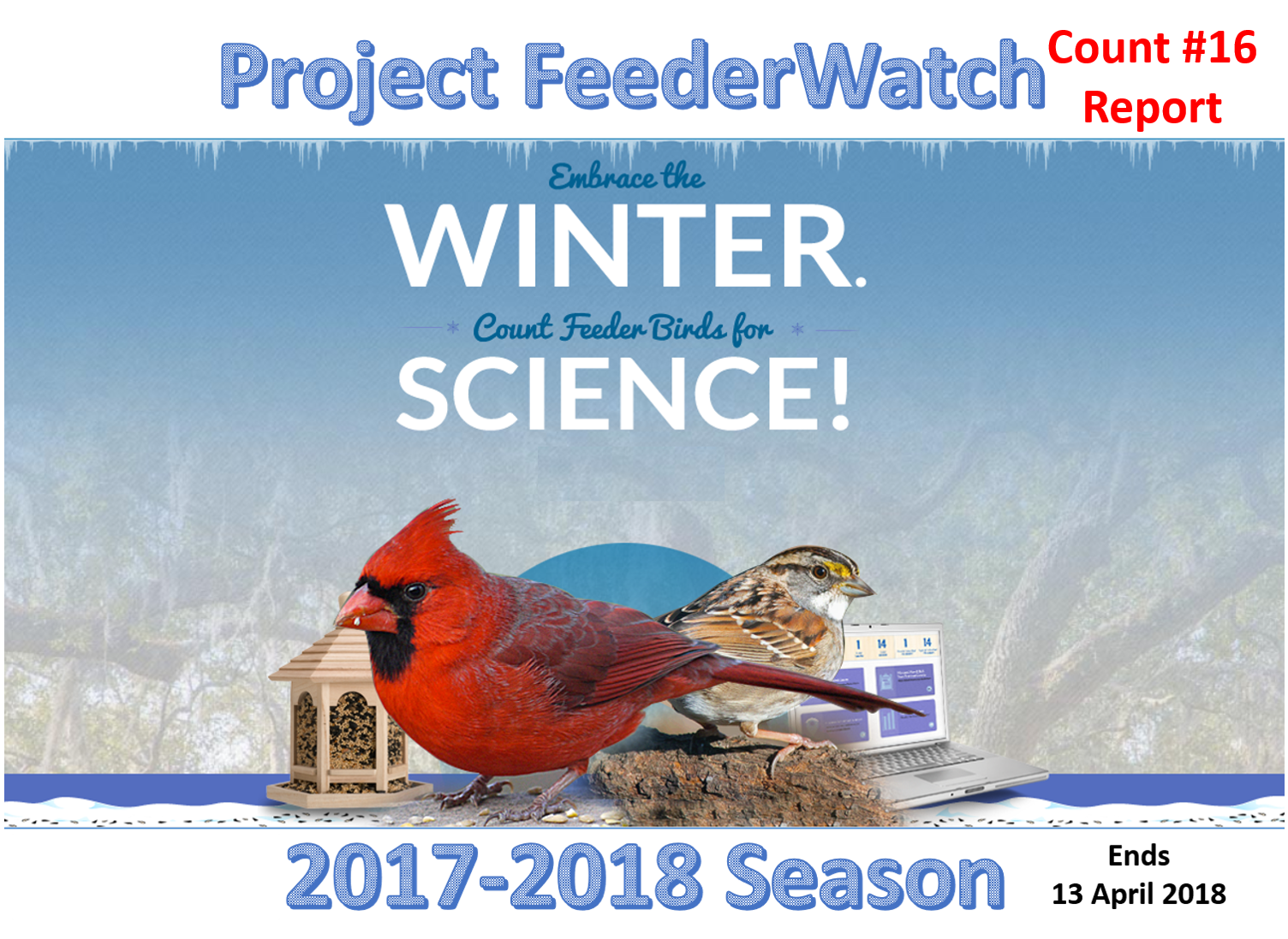 project feederwatch february 2018 image.jpg
