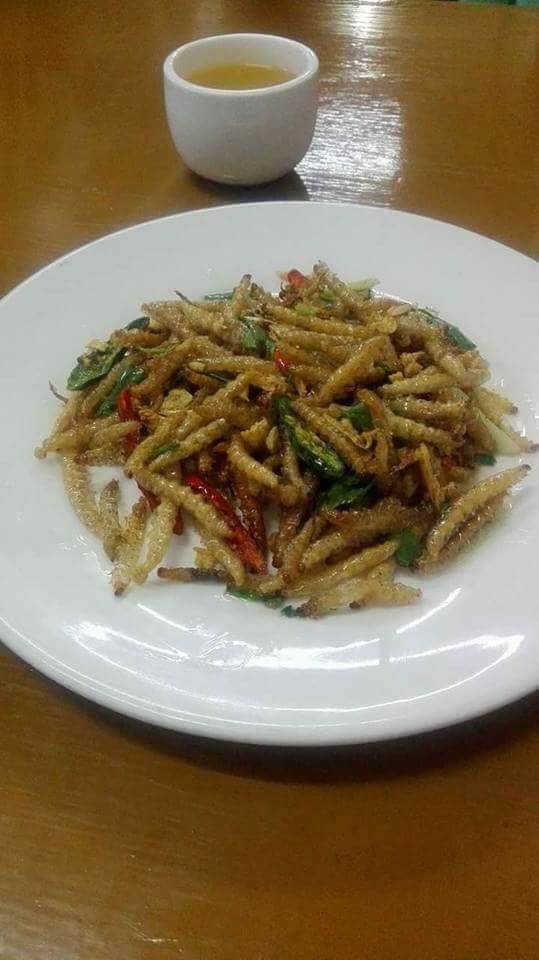 bamboo worms 3.jpg