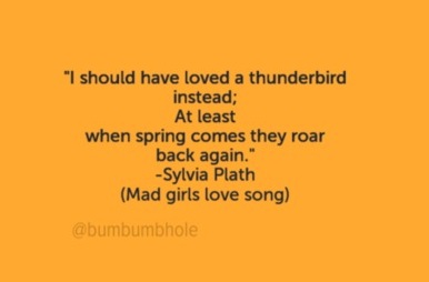 i-should-have-loved-a-thunderbird-instead-at-least-when-spring-comes-they-roar-back-again-sylvia-pla-1419828.jpg