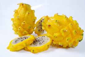 pitaya 4.jpg