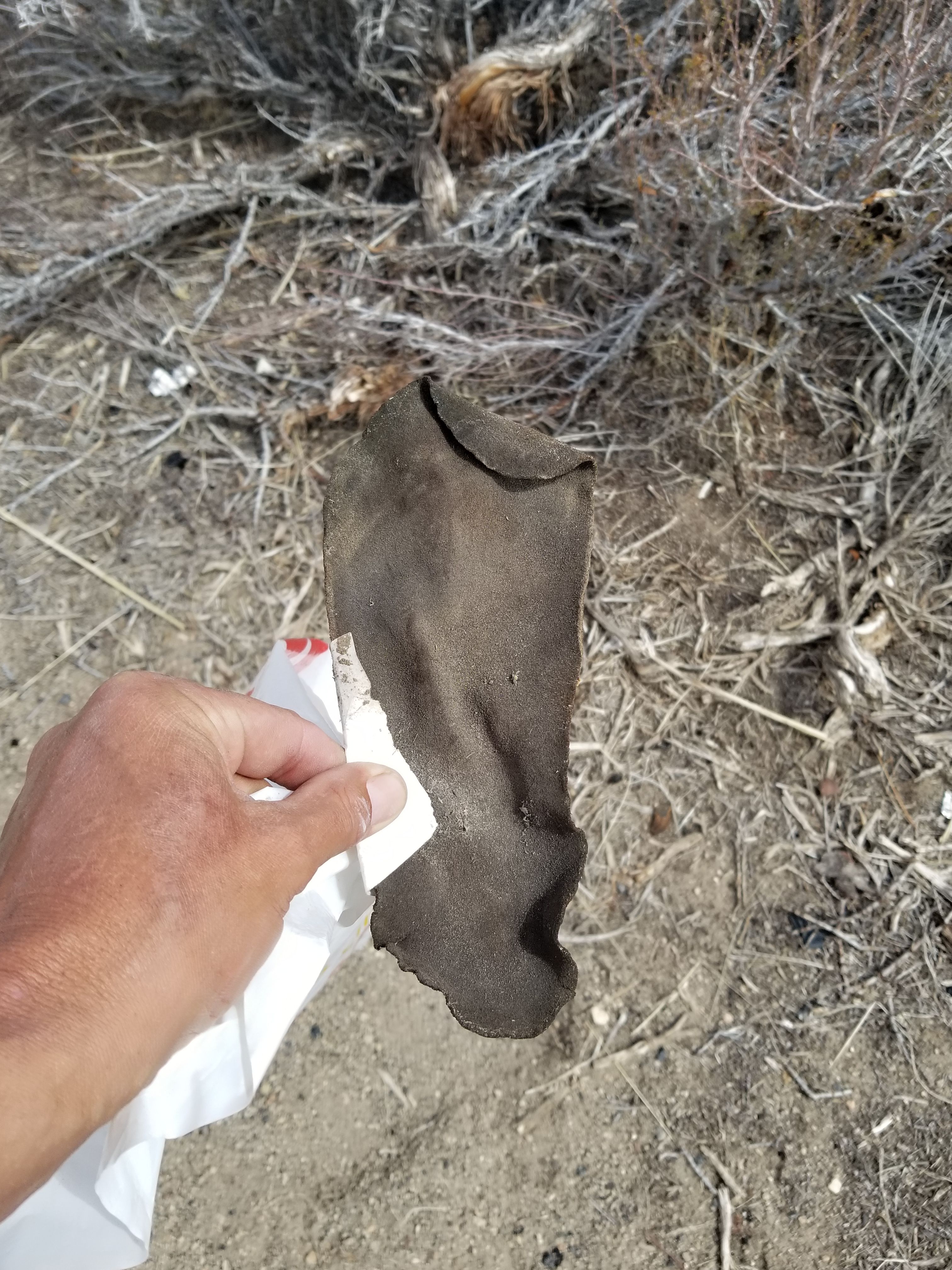 20180331_132538.jpg