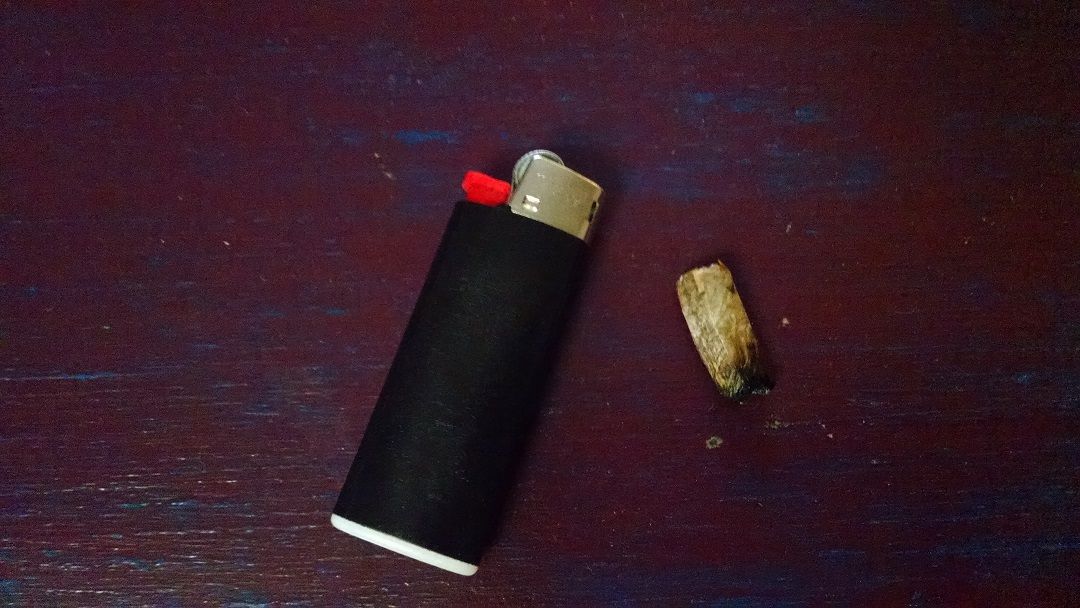 roach n lighter.jpg