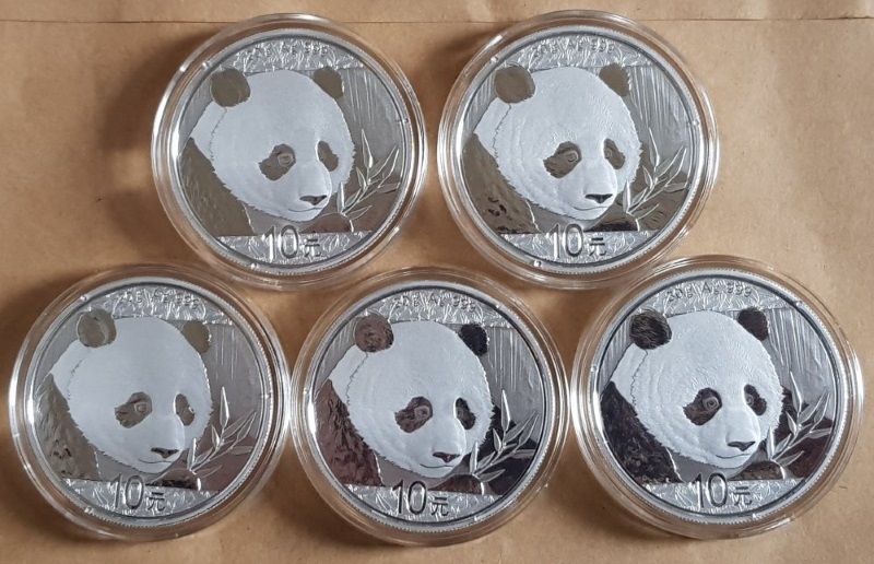 2018 silver Panda.jpg