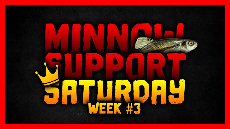 Minnow Support Contest #3.jpg