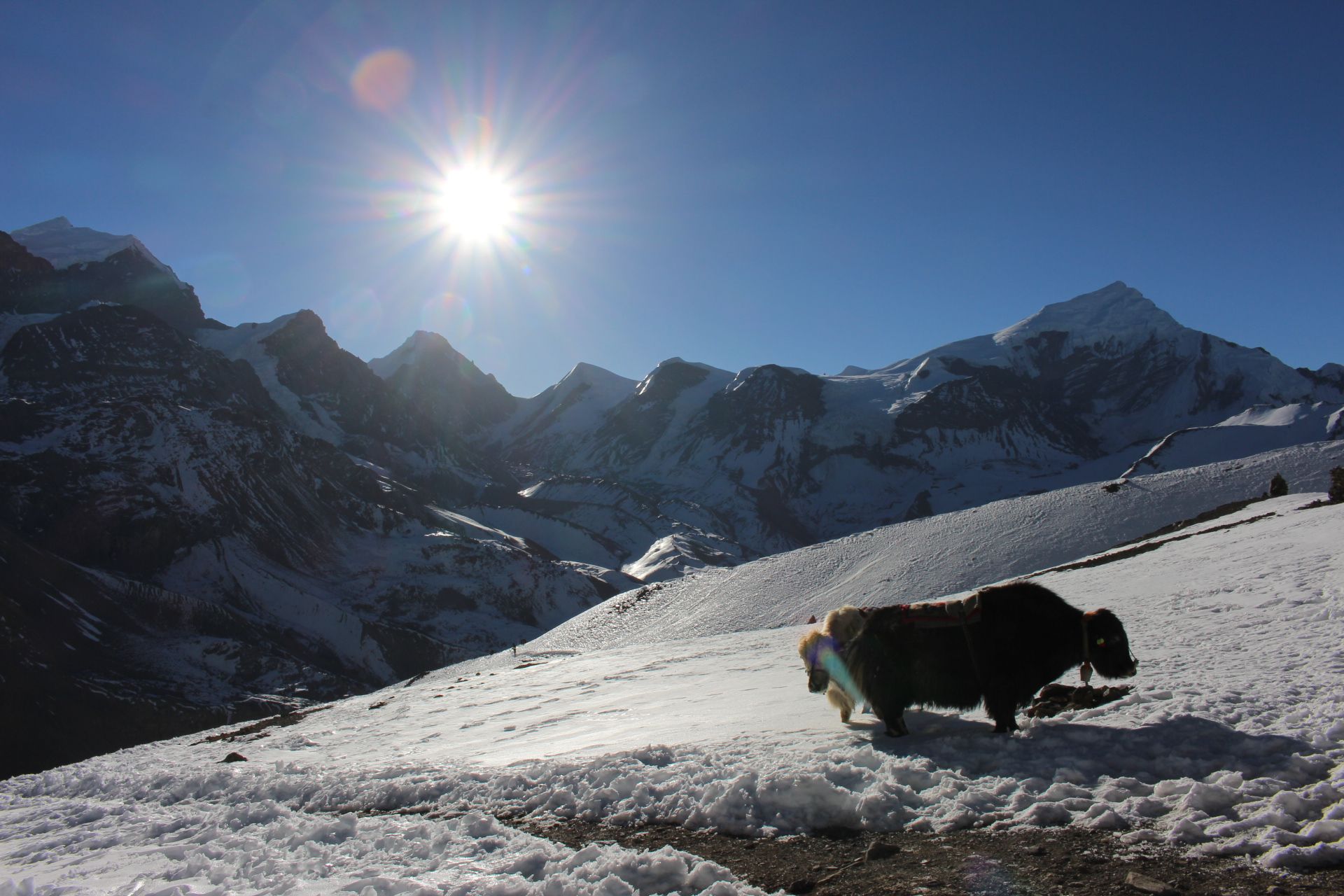 how to trek the annapurna circuit without a guide