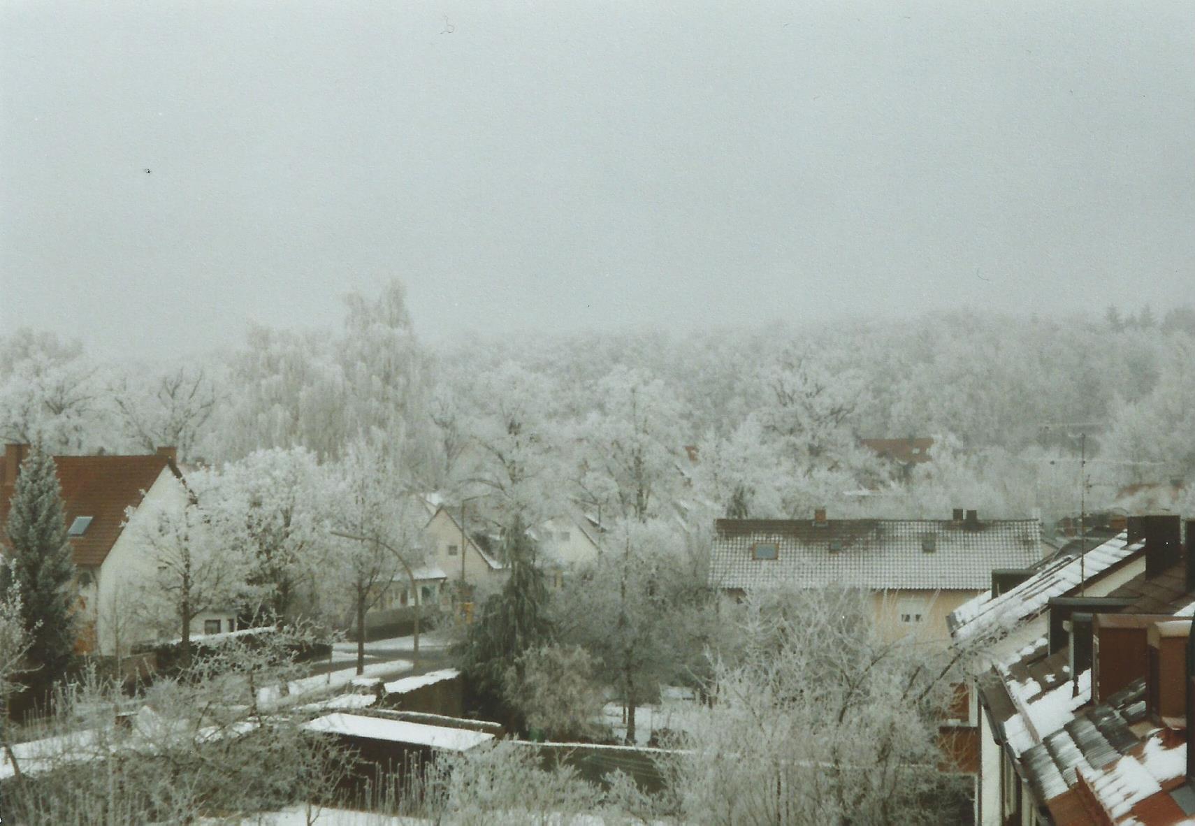 Freising Eiswinter 1.jpg