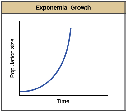 expotential growth