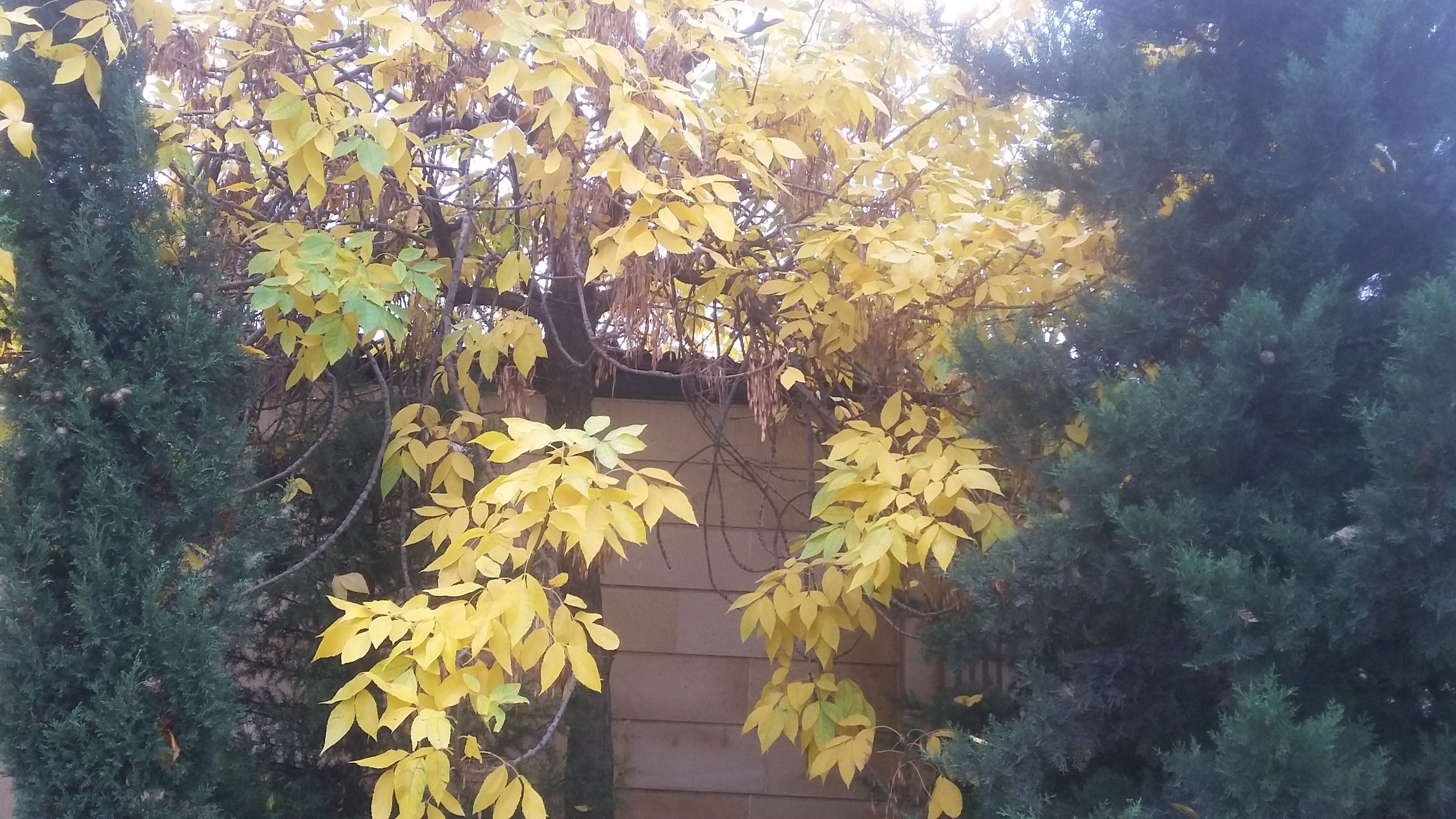 20171024_164946.jpg