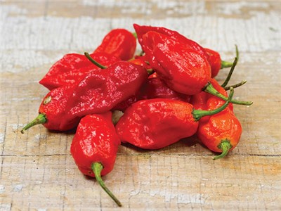 ghost peppers.jpg