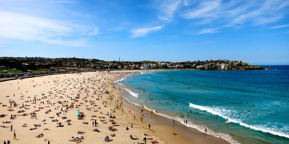 bondi-beach-credit-wise-monkeys-abroad.jpg