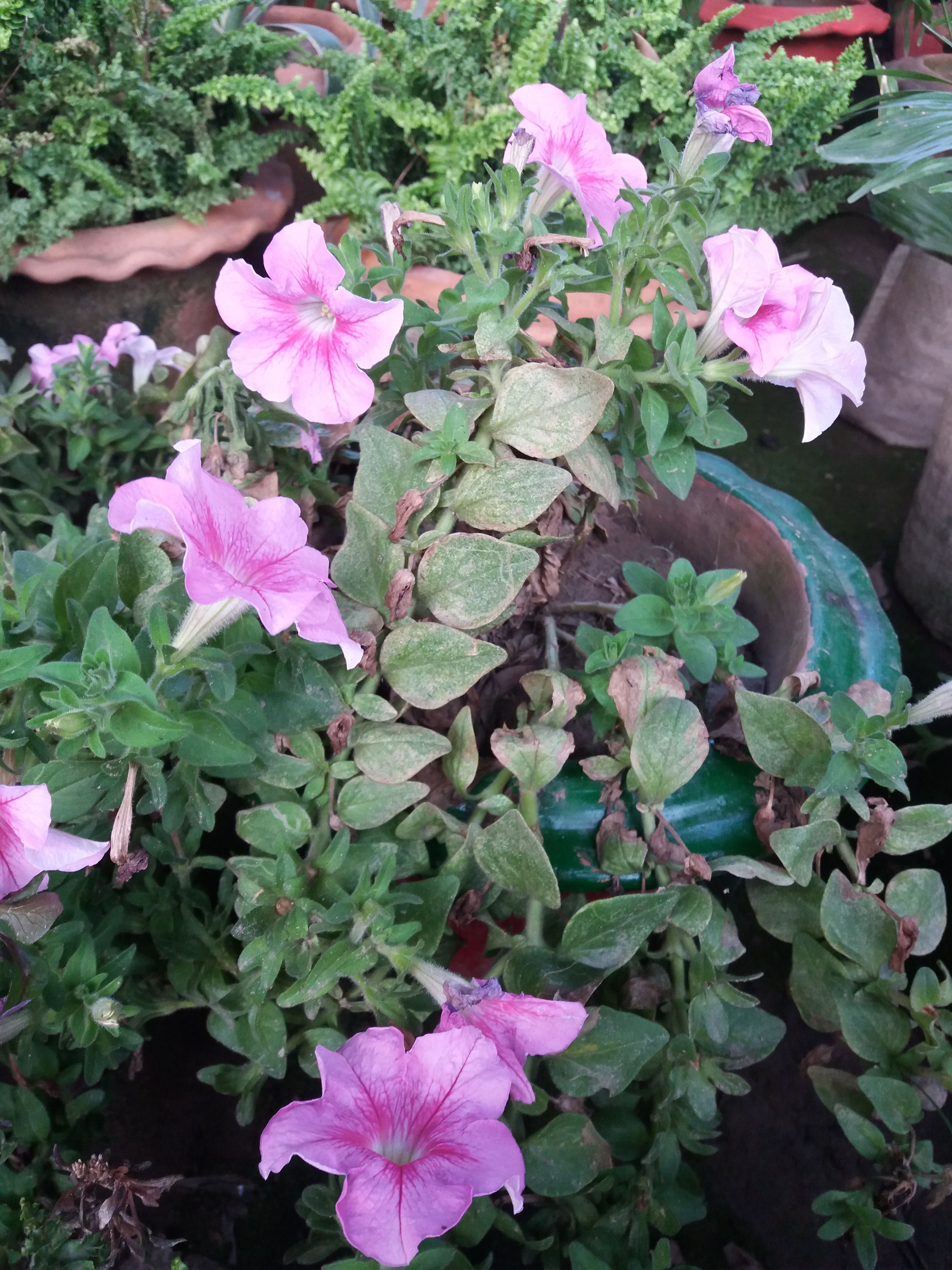 20180413_173720.jpg