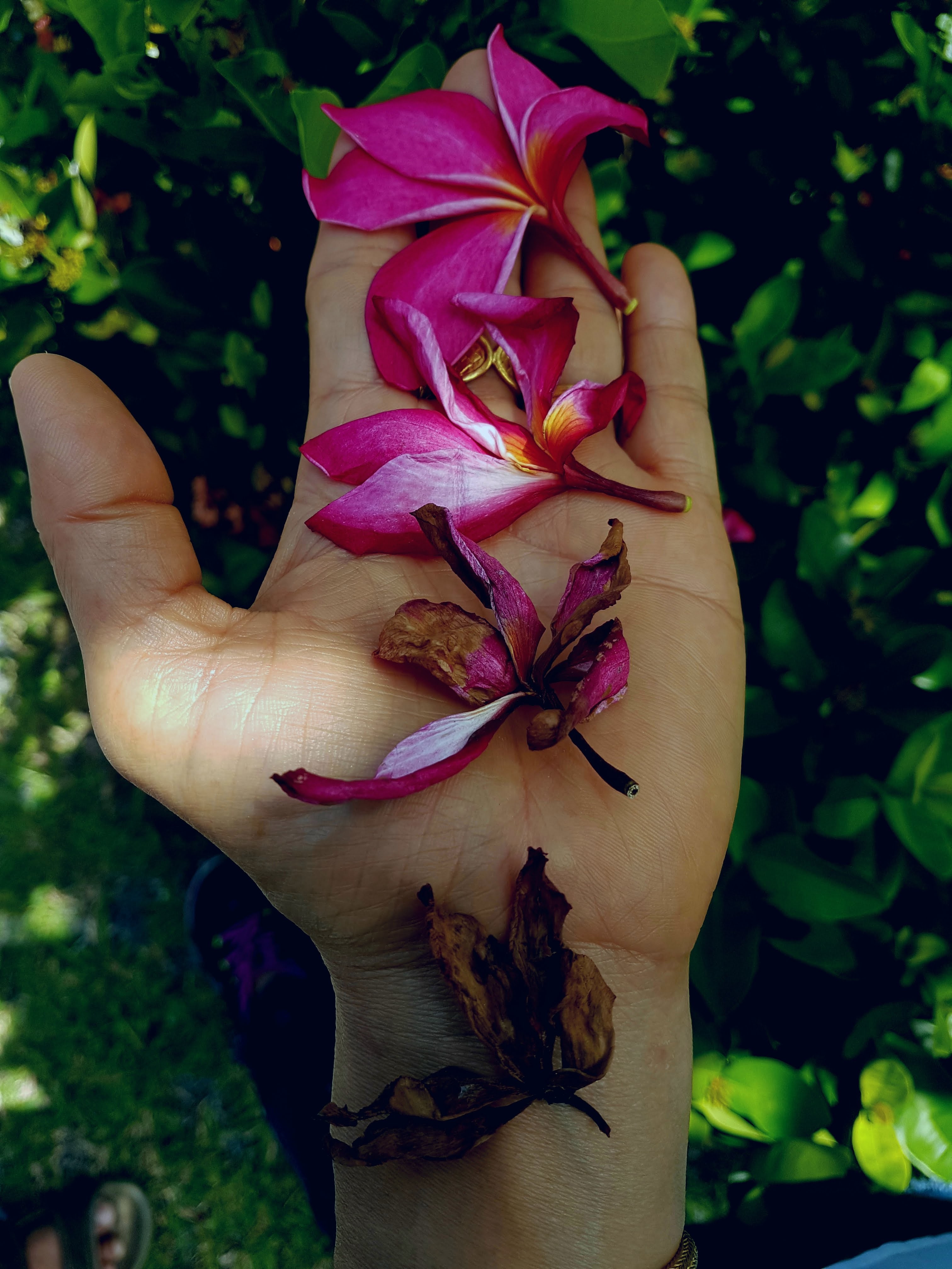 20180516_153018.jpg