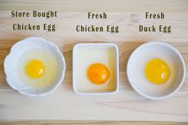 egg compare.jpg
