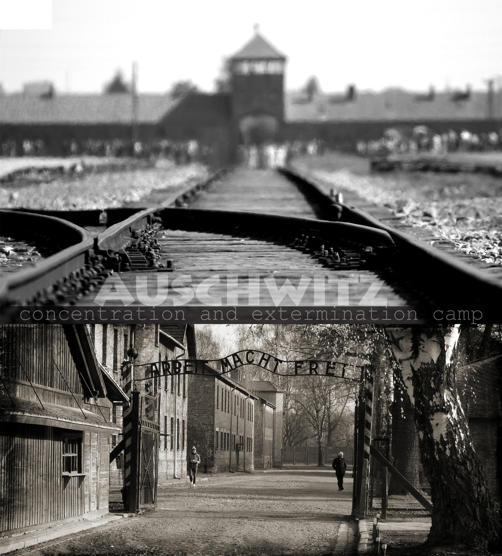 902-auschwitz1.jpg