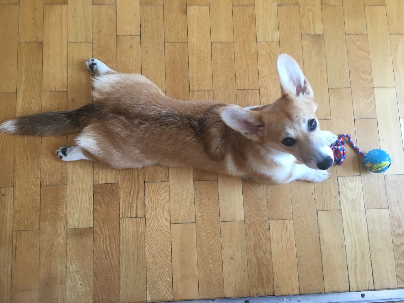 sploot4.JPG