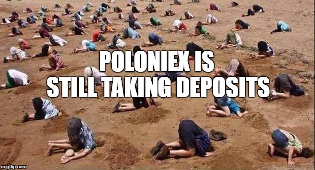 PoloniexHeadsInSand.jpg