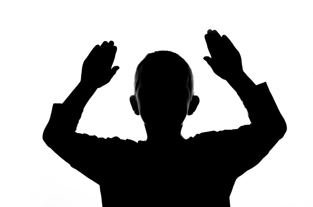maxpixel.freegreatpicture.com-Hands-Up-Shadow-Child-Hands-People-Face-Hand-Boy-315909.jpg