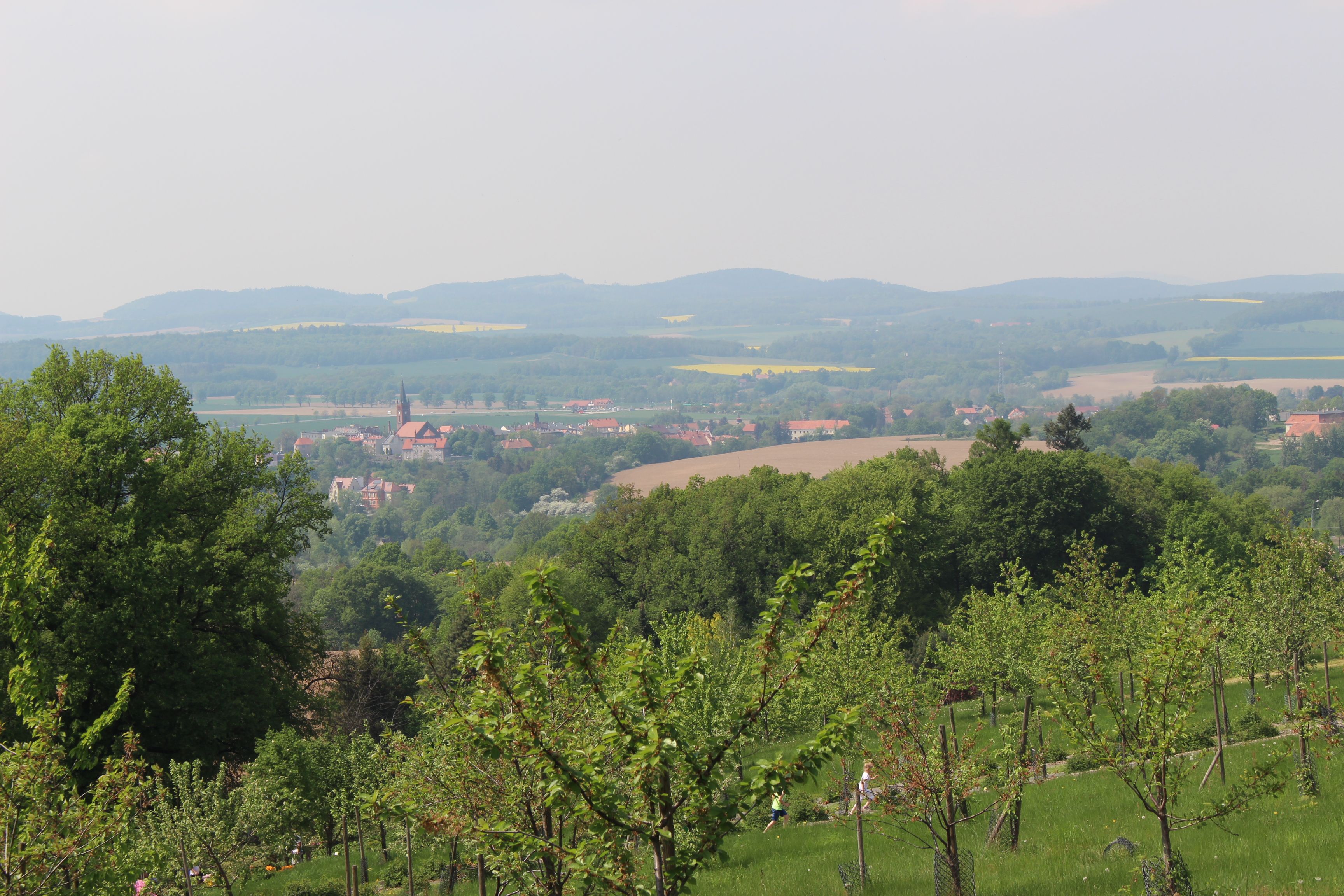 IMG_6189.JPG