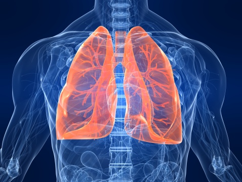 DHEA_COPD.jpg