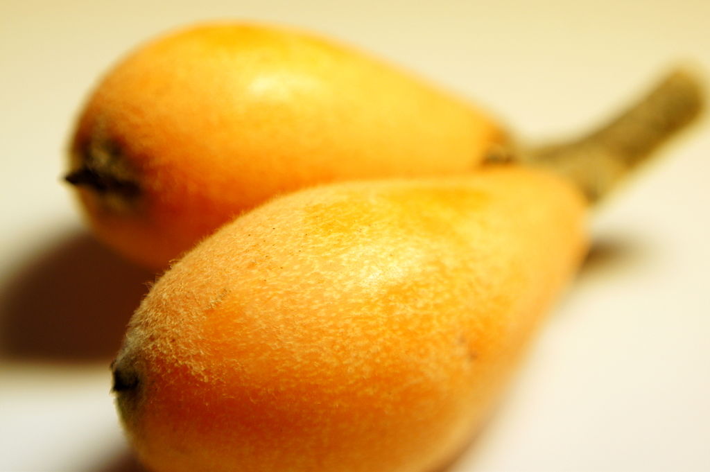 Loquat CC mk2010.jpg