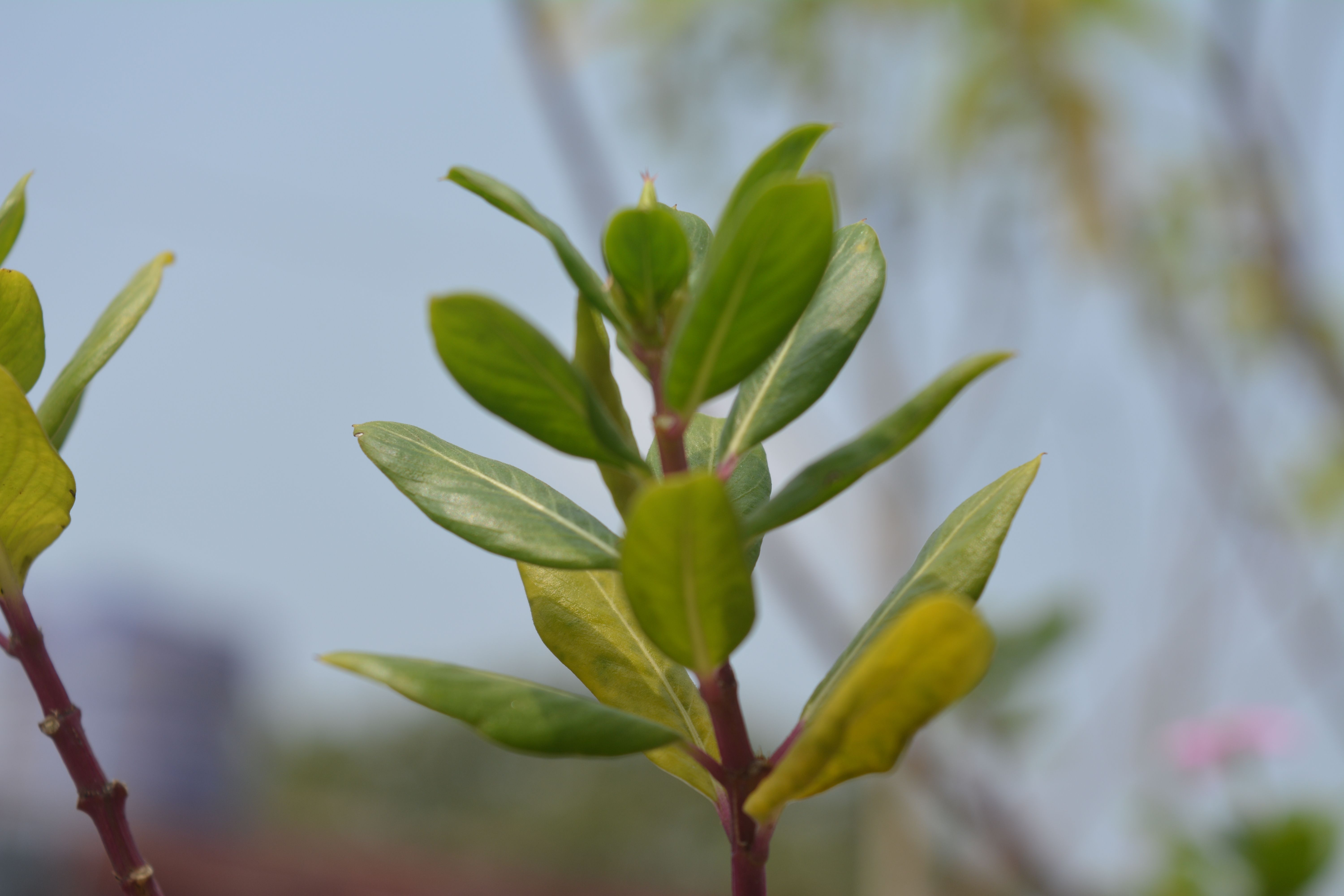 DSC_1206.JPG