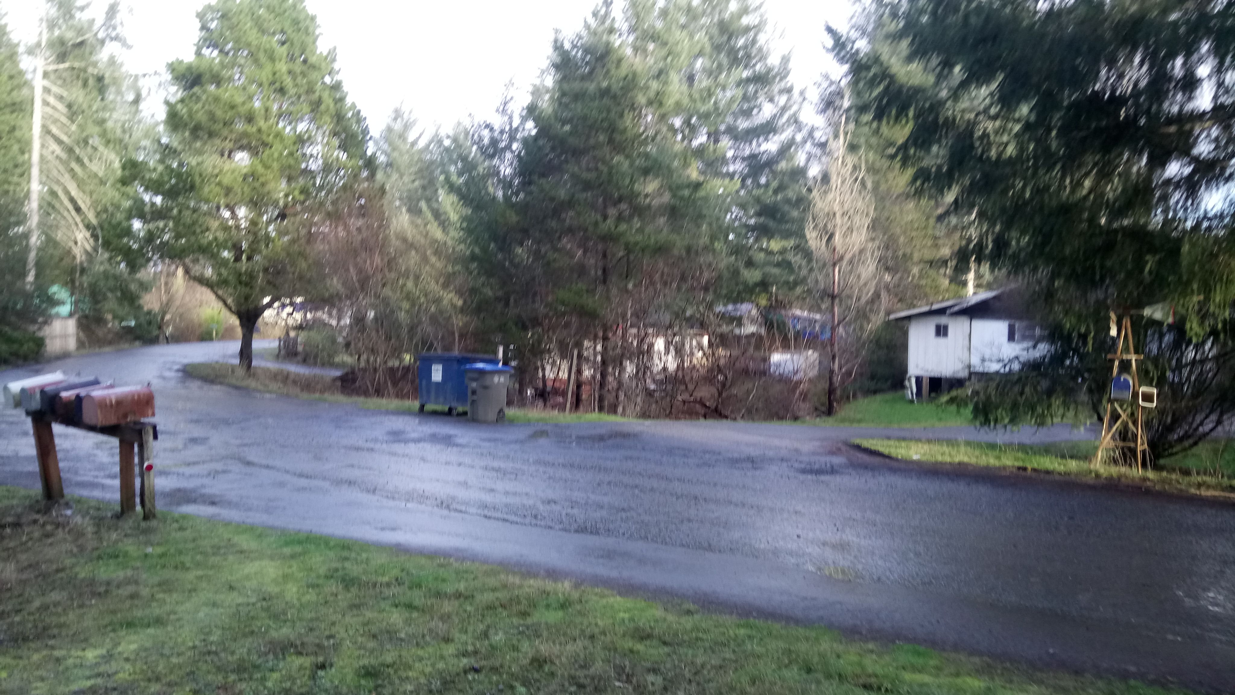 DSC_0039.JPG